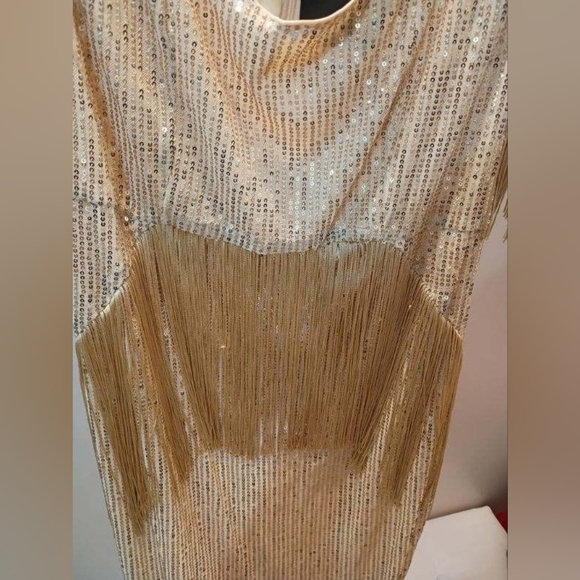 Gold Fringe Sequin Evening Dress - Pluswear - Picture 9 of 9